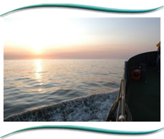 Gemini Commercial Marine Charters Moray Firth